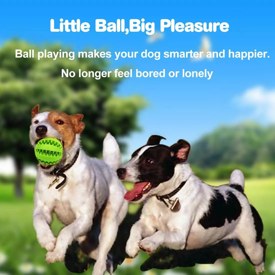 Dogs Tooth Cleaning Snack Ball Toy for Pet